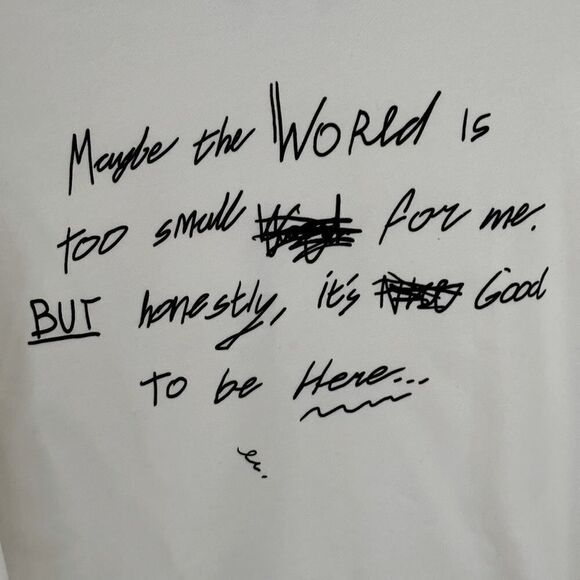 Zara white mid weight sweatshirt with text on front and back. NWOT M - Picture 14 of 15